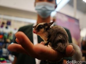 Hewan-hewan Lucu Dipamerkan di IIPE 2022