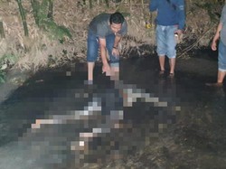 Ini Identitas Mayat Wanita Korban Pembunuhan yang Ditemukan di Sungai Kediri