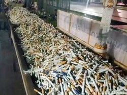 Jutaan Batang Rokok Ilegal di Situbondo Dimusnahkan