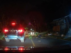 Pohon Tumbang Timpa Seorang Pemotor