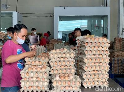 Harga Telur Naik, KPPU Sidak Distributor di Deli Serdang
