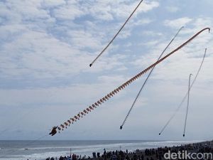 Mengagumi Indahnya Layang-layang di Langit Purworejo