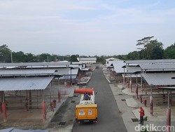 Pasar Hewan Jelok Boyolali Kembali Dibuka Besok, Simak Aturannya