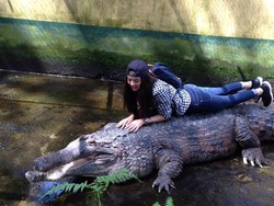 3 Kebun Binatang di Sumut, Ada yang Milik Keluarga Raline Shah