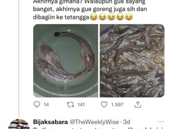 Kisah Pria Terbebas dari Stres Berat Berkat Ternak Ikan Lele di Rumah
