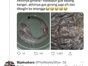 Kisah Pria Terbebas dari Stres Berat Berkat Ternak Ikan Lele di Rumah Kisah Pria Terbebas dari Stres Berat Berkat Ternak Ikan Lele di Rumah