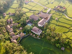 The Sun of Granary Resort & Villas, Surga di Kedamaian Alam Tegallalang