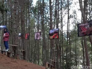 Tondok Bakaru Village Festival Jadi Ajang Perkenalkan Potensi Wisata Mamasa