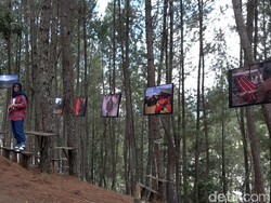 Tondok Bakaru Village Festival Jadi Ajang Perkenalkan Potensi Wisata Mamasa