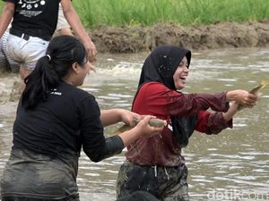 Keseruan Tradisi Mangatti di Mamasa, Berburu Ikan dengan Tangan Kosong