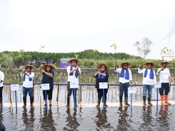 Lestari Moerdijat Dukung Kegiatan Penanaman Mangrove di Pantura Jateng