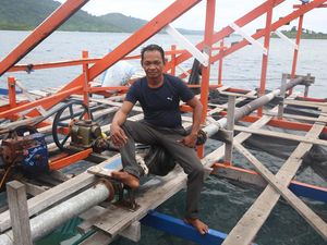 Beralih ke Bagan, Nelayan Anambas Bisa Dapat 1 Ton Cumi dalam Semalam