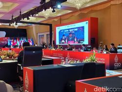 Ada Amerika dan Rusia, 19 Delegasi Hadiri DEWG G20 di Bali Ada Amerika dan Rusia, 19 Delegasi Hadiri DEWG G20 di Bali