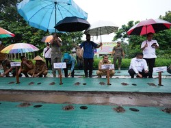 Tekan Inflasi, Gubri Ajak Warga Tanam Cabai di Pekarangan Rumah