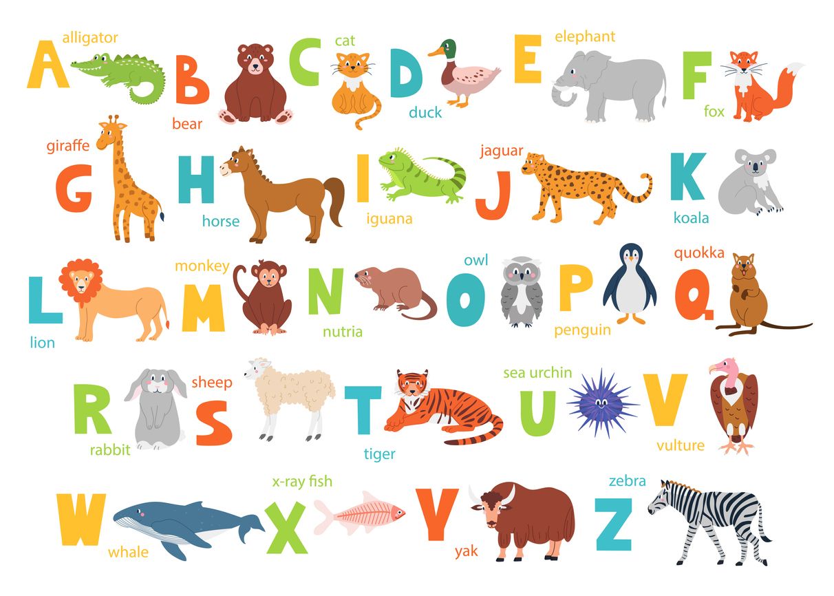 Ilustrasi nama-nama hewan