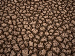Muncul Retakan Tanah Mirip di Afrika, Apakah Kalimantan akan Menjadi Gurun?