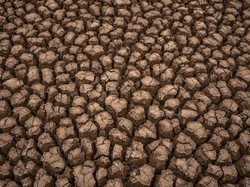 Muncul Retakan Tanah Mirip di Afrika, Apakah Kalimantan akan Menjadi Gurun?