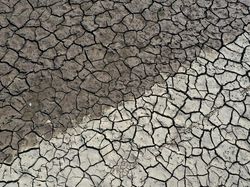 BMKG Prediksi Musim Kemarau 2023 Lebih Kering, Apa Dampaknya?