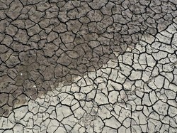 BMKG Prediksi Musim Kemarau 2023 Lebih Kering, Apa Dampaknya?