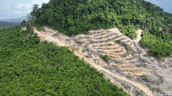 Melihat Proyek Calon PLTA Terbesar di Asia Tenggara