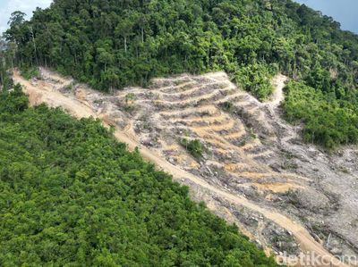 Melihat Proyek Calon PLTA Terbesar di Asia Tenggara
