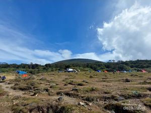 Viral Mau Ambil Air di Alun-alun Suryakencana, Pendaki Nemu Kotoran Manusia