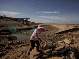 Tahun 2023 Capai Rekor Tertinggi Suhu Panas Sepanjang Sejarah, Berlanjut di 2024?