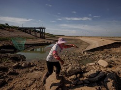Tahun 2023 Capai Rekor Tertinggi Suhu Panas Sepanjang Sejarah, Berlanjut di 2024?