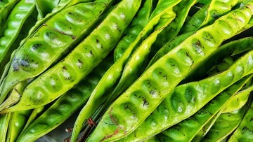 Petai Bikin Pipis Bau? Dokter Ungkap Rahasianya! Petai Bikin Pipis Bau? Dokter Ungkap Rahasianya!