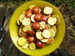 Ini yang Terjadi pada Tubuh Jika Rutin Makan Jengkol