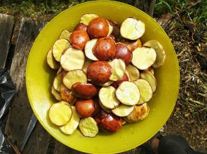 Ini yang Terjadi pada Tubuh Jika Rutin Makan Jengkol Ini yang Terjadi pada Tubuh Jika Rutin Makan Jengkol