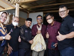 Solusi Telkom Bikin Ketahanan Pangan Desa Jadi Lebih Canggih