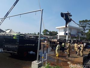 Pembukaan Pasar Hewan Jelok, Belasan Kendaraan Dipulangkan - 2 Sapi Suhu Tinggi Pembukaan Pasar Hewan Jelok, Belasan Kendaraan Dipulangkan - 2 Sapi Suhu Tinggi