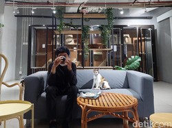 Lagi Banyak Pikiran? Sini Ngopi Sambil Ngelus Kucing di BSD