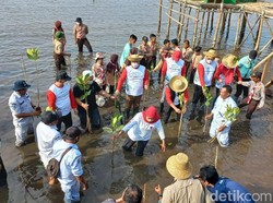 Gubernur Khofifah Ajak Warga Sedekah Oksigen Lewat Tanam Mangrove