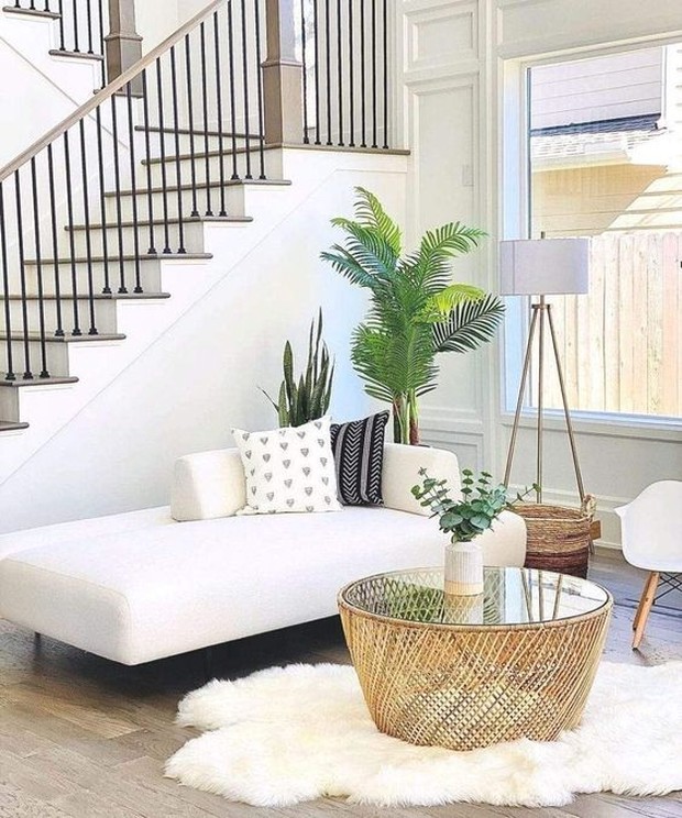 Tanaman dapat menyaring udara yang kotor dan menggantinya dengan udara bersih/Foto: id.pinterest.com/Artiplanto