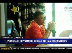 Komjen Purnawirawan Heran Sambo Punya 8 Ajudan Padahal Biasanya 2