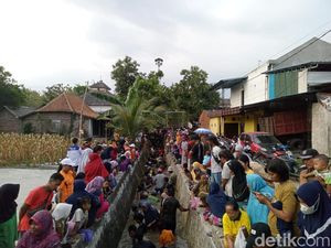 Keseruan Lomba Tangkap Lele di Lamongan, Salah Tangkap hingga Terjungkal Keseruan Lomba Tangkap Lele di Lamongan, Salah Tangkap hingga Terjungkal