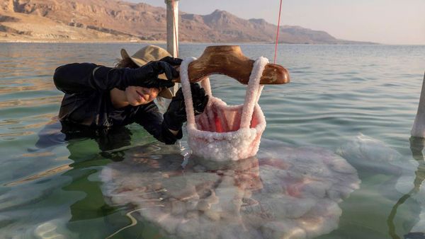 Potret Unik Karya Seni dari Kristal Garam di Laut Mati