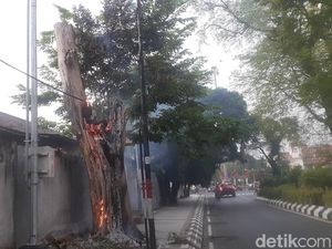 Pohon Dekat Tugu Muda Semarang Hangus Terbakar, Begini Penampakannya