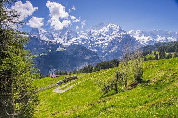 Swiss menjadi negara teraman untuk perempuan yang suka solo traveling/Foto: Freepik/Wirestock