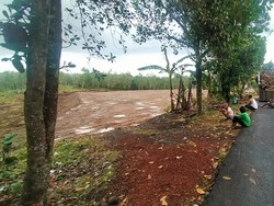 Tanah Jalur Tol Gilimanuk-Mengwi Diblokir, Hindari Mafia Tanah