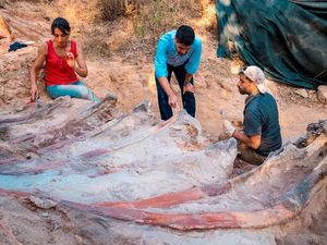 Woww... Kerangka Fosil Dinosaurus Terbesar Ditemukan di Portugal