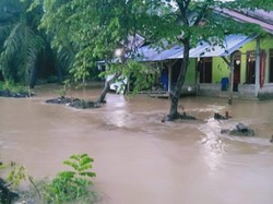 Banjir Rendam Satu Desa di Pasangkayu, Akses Jalan ke Kota Lumpuh