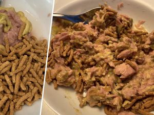 Duh! Menu Hemat Budget ala Jurnalis Ini Dibilang Mirip Makanan Kucing