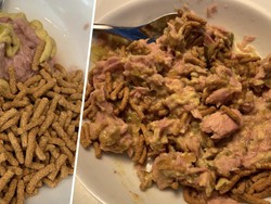 Duh! Menu Hemat Budget ala Jurnalis Ini Dibilang Mirip Makanan Kucing