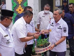 Harga Cabai di Riau Rp 60.000/Kg, Gubernur Genjot Aksi Tanam Cabai