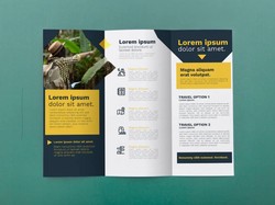 Contoh Pamflet Lengkap dengan Manfaat, Jenis, dan Cara Membuatnya