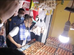 Zulhas Bertemu Peternak di Kantornya Hari Ini, Bahas Harga Telur Lagi?