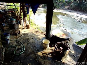 Rumah Jagal Anjing di Solo Disidak, Pemilik Ngaku Sudah Tak Beroperasi